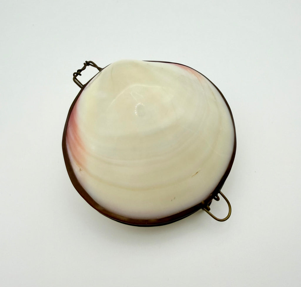 Shell Box