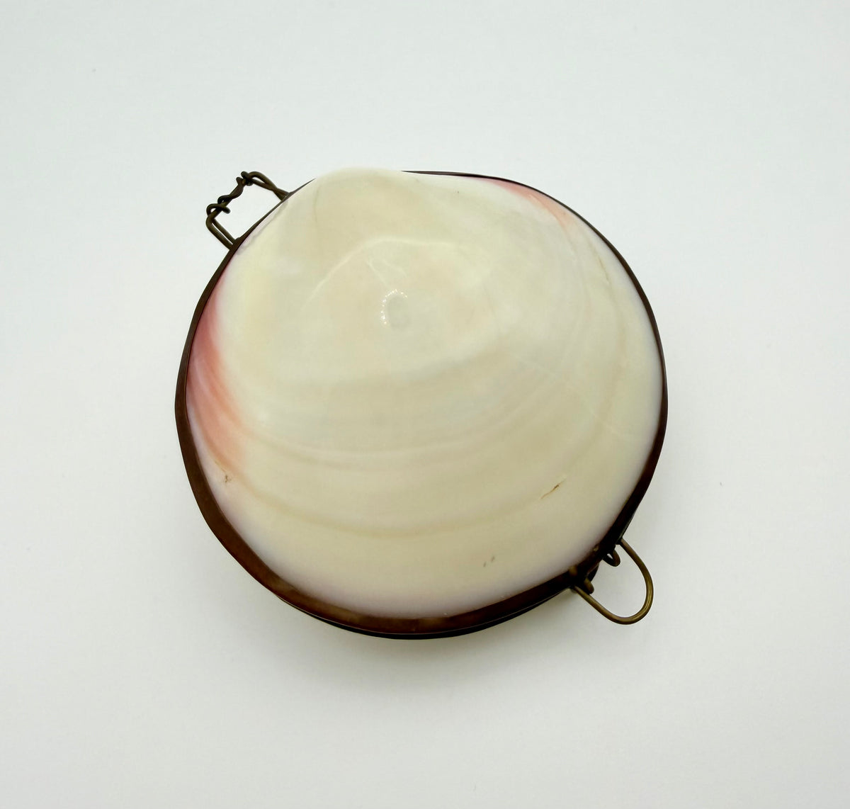 Shell Box