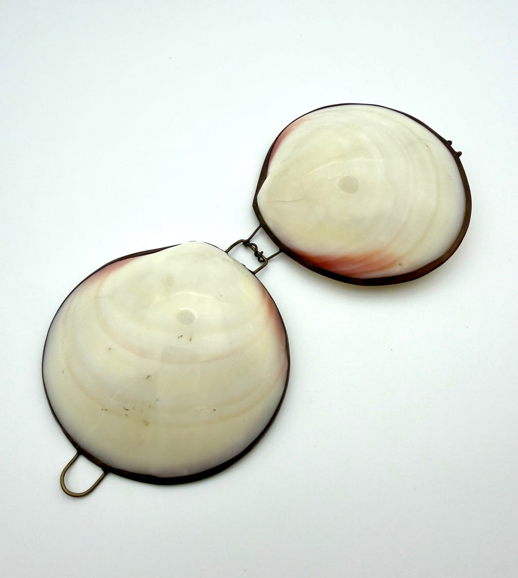 Shell Box