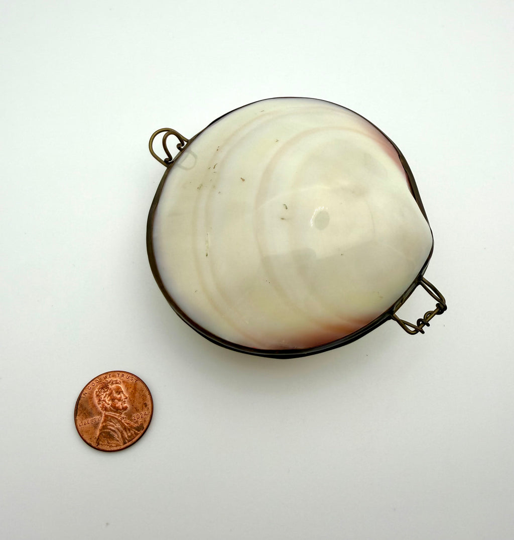 Shell Box