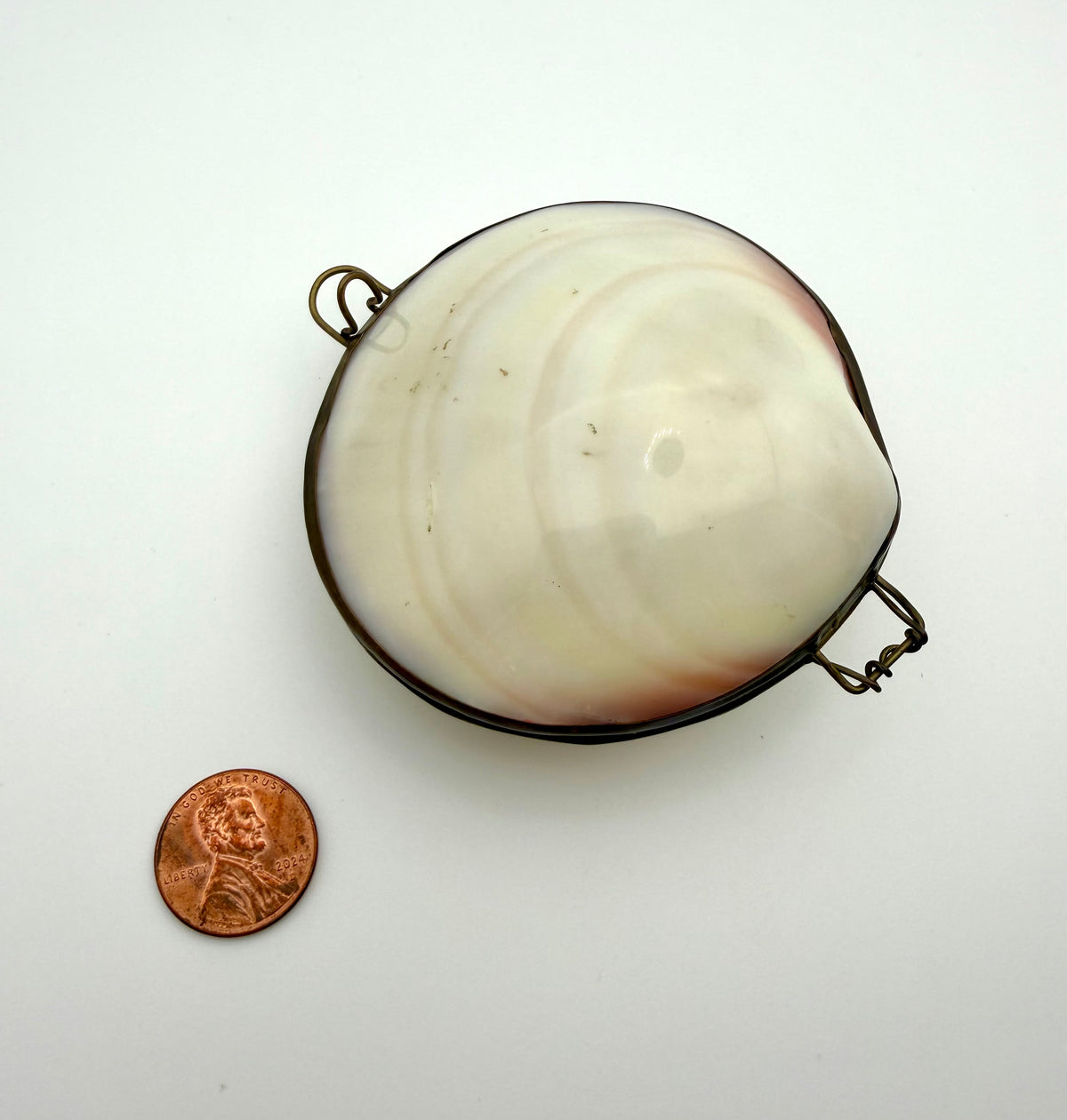 Shell Box